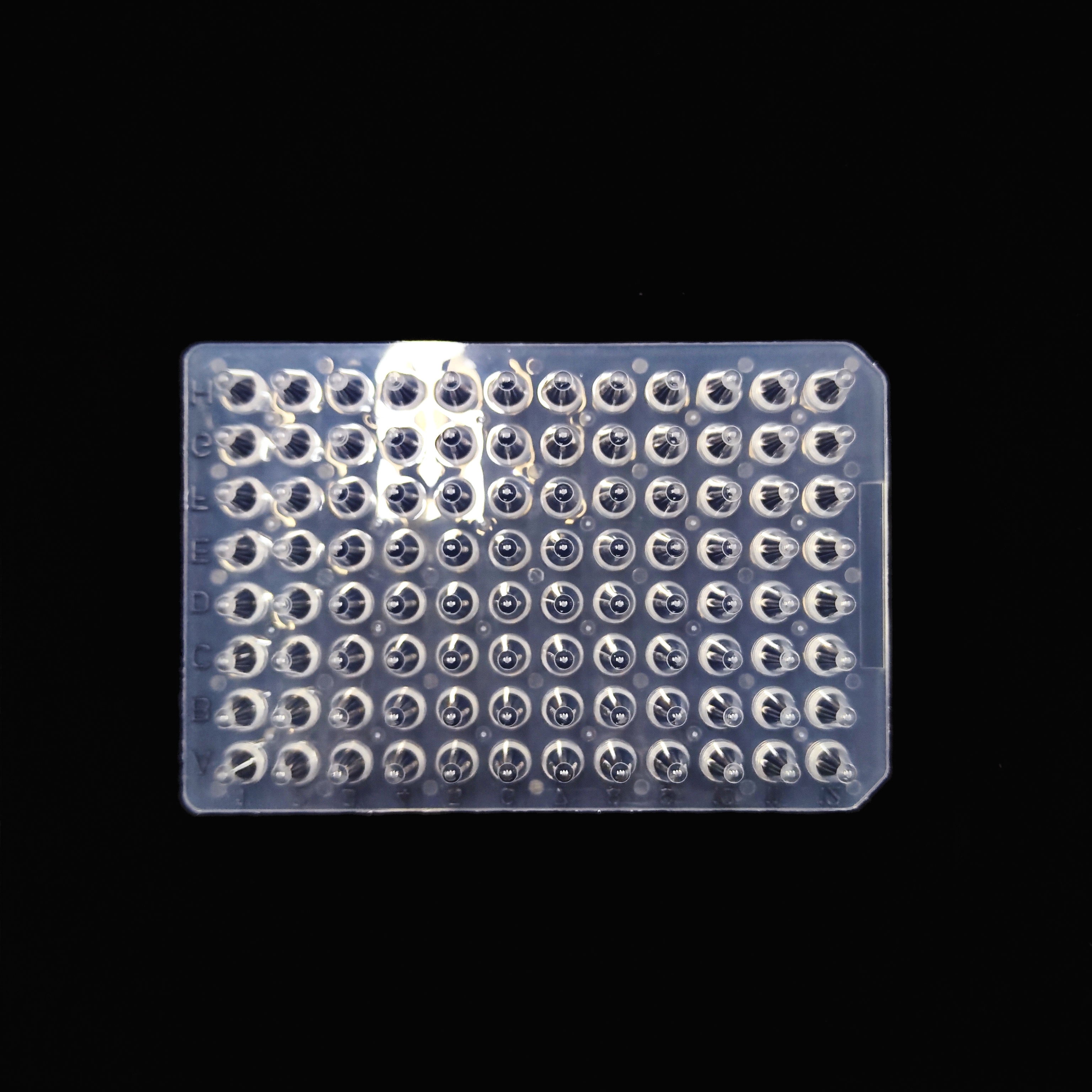 PCR 0.1ml 96 well plate with black mark (Bulk) Buy PCR, 96 well Plate